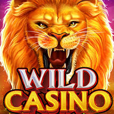 Wild Joker Gambling Enterprise Review